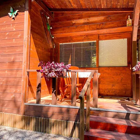 Camping Le Sorgenti - 12 Palazzuolo Sul Senio